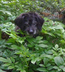 Tucker